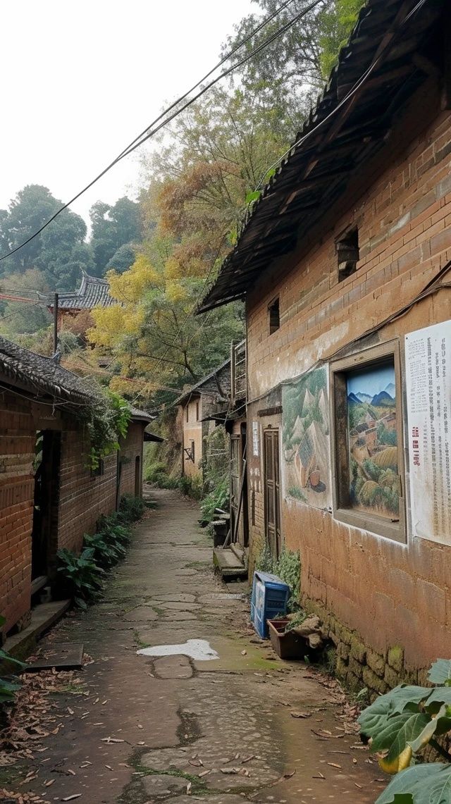 從單打獨斗到抱團發(fā)展！平陽粉干村書寫新故事