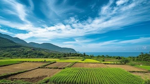 走進(jìn)廣東肇慶懷集縣 美味之旅盡在此!