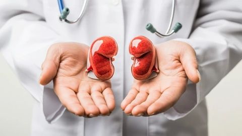 10條必備的腎病知識:了解慢性腎臟健康要點(diǎn)