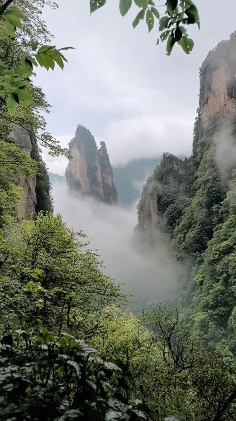 太行山腹地秘寶——阜平八大碗香氣四溢，吸引八方食客品味古早美味
