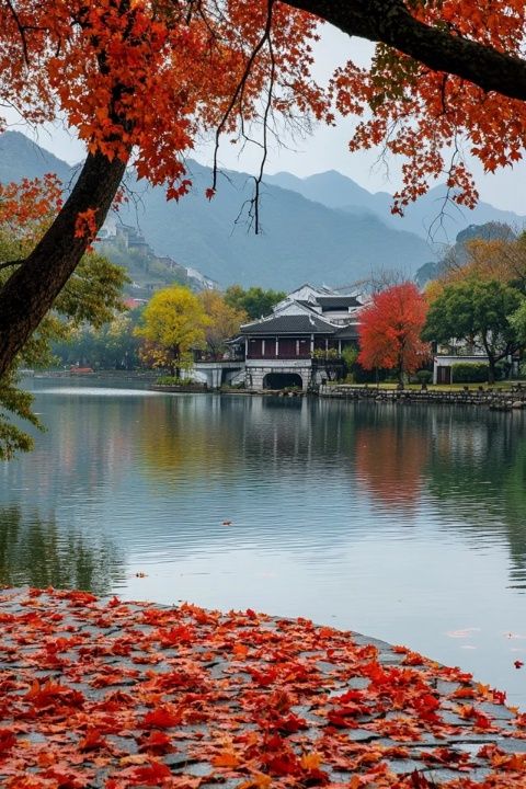 秋季玄武湖畔雞鳴寺,美景令人淚目