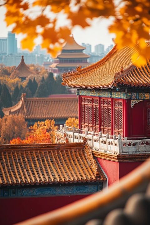 北京·雅寶路首家林家一臺(tái)州菜店開業(yè)了!