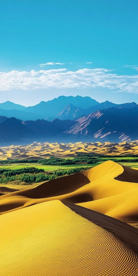 內(nèi)蒙古沙漠之旅攻略：烏海至阿拉善左旗住宿、美食推薦