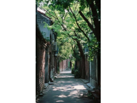 蘇州必游經(jīng)典路線：拙政園、博物館到周莊古鎮(zhèn)一日游攻略