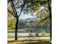 春天適合去哪里玩最好?這2座小城讓你體驗慢生活,消費低景色美