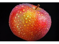 揭秘日常：蘋果為什么會變色及更多生活背后的科學原理