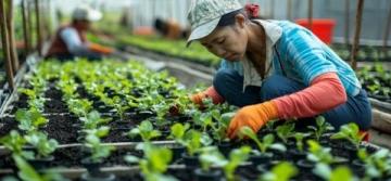 護苗知識科普游山西村解鎖知識密碼,助力青春成長