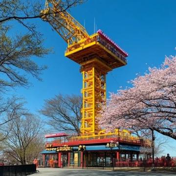 青島三天兩晚原創(chuàng)游玩攻略，結(jié)合青島經(jīng)典景點(diǎn)、特色美食和文化體驗(yàn)，合理規(guī)劃行程