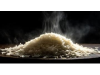 磁州燜子家常制作教程及食材調料詳解