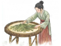 古代中國稻谷與粟的栽培與發(fā)展