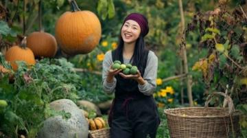 趙縣美食探秘:家鄉蒸菜的傳統韻味與創新之旅
