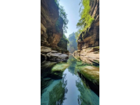 探索華東純凈海濱：東臺(tái)黃海森林公園，國家級(jí)生態(tài)仙境之旅