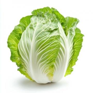 酸菜是一種非常百搭的食材,不同地區和文化中都有獨特的吃法