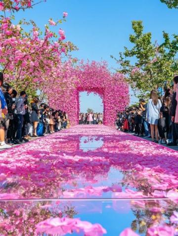 圣誕節探訪花都昆明：商業區盛宴、公園歡歌及必游景點推薦