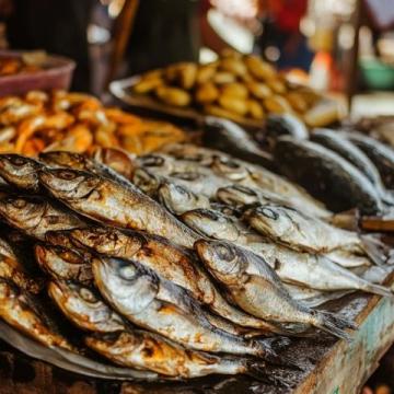 你知道嗎?金鯧魚的蛋白質含量竟高達每100克15.6克!