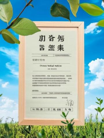 牛背山恢復開園,詳盡攻略奉上