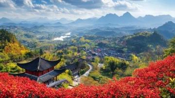 廣西之旅:黃皮果與粉紅豹的奇遇記