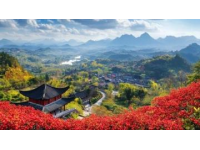 廣西之旅：黃皮果與粉紅豹的奇遇記
