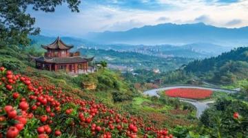三次邂逅麗水秘境:深度游歷浙江南部全景之旅