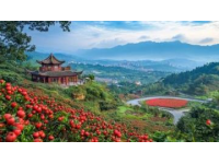 三次邂逅麗水秘境：深度游歷浙江南部全景之旅