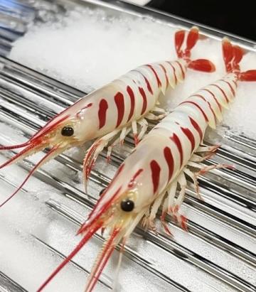 在周水前劉大龍蝦店的美食體驗：小龍蝦、烤串與榴蓮盛宴