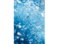 武漢碳水狂想曲24小時(shí)暴走舌尖江湖，揭開九頭鳥的饕餮密碼武漢美食新篇章