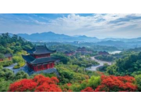 最新版！普陀山自由行攻略，吃住行玩一網(wǎng)打盡！