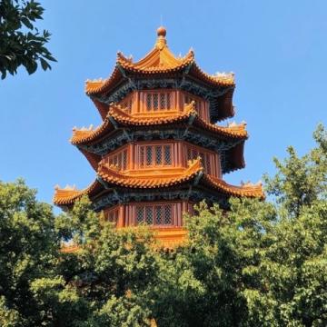南昌居住近40年首次探訪梅嶺獅子峰：自然風光與文化之旅