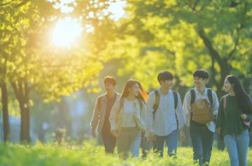 探索刺猬大學的蛻變之旅：粉絲互動成長計劃