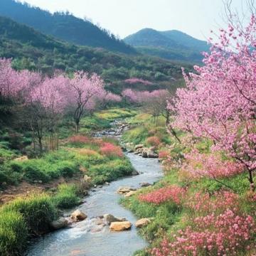 江南山野的春味密碼