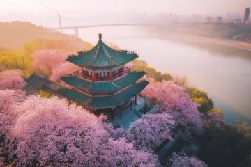 四日三夜武漢賞櫻游：暢游各大精華景點攻略