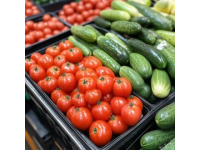 石屏春菜新鮮上市 售價高達200元/市斤