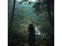 醉美松湖煙雨中，等你來一場說走就走的旅行