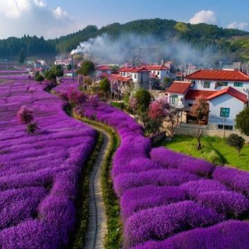 東極島旅行指南:探索中國最東方島嶼的實(shí)用貼士與打卡秘籍