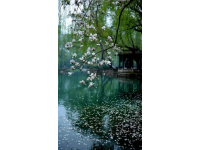 蘇州旅游攻略：名園勝景、水鄉古鎮、美食文化一網打盡