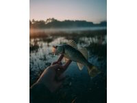 分享特輯：揭秘魚(yú)竿“大五”知識(shí)點(diǎn)