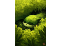 地球奇觀：揭秘小動物不可思議的神秘能力