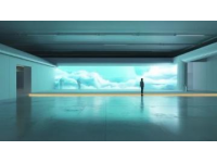 新手友好·美味香菇雞翅做法分享：簡單幾步，鮮香誘人！
