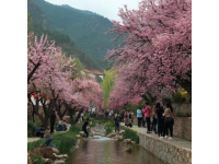 鞍山兩日游深度體驗指南 - 探訪春意盎然的城市景觀與人文歷史
