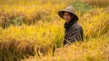 舌尖上的中國:美食之旅