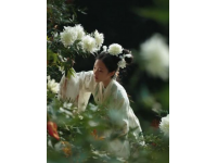 農(nóng)家春味濃，野菜香滿園，城里售價翻倍貴