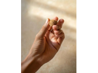 固始鵝塊絕了！吃貨必看！