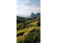 這些城市的名字串起來就像一條獨特的旅行路線,沭陽縣有著獨特的鄉村風光