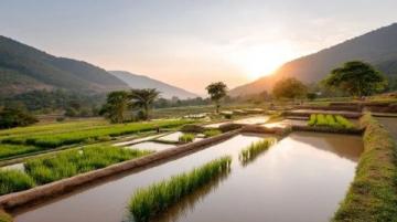 云南旅行攻略:如何巧妙規(guī)劃你的行程