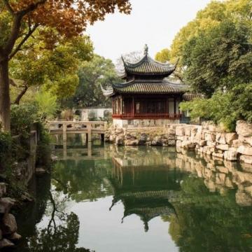 杭州西溪濕地新玩法:隱秘游船下午茶與人文探索之旅