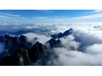 一探杭州西溪濕地魅力，顛覆你對景點的認知