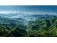 綿陽親子研學游：逸森麓野自然探索之旅