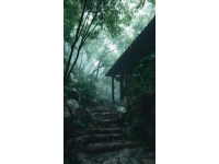 （實拍）成都農科村，免費4A景區，以前最喜歡去的農家樂聚集地
