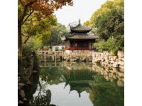 杭州西溪濕地新玩法：隱秘游船下午茶與人文探索之旅