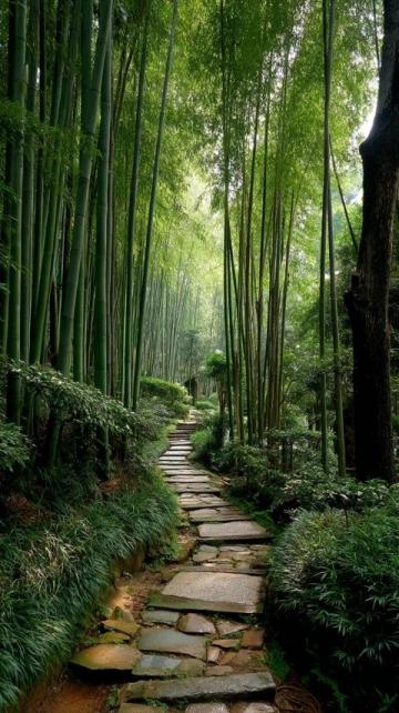 重慶南山植物園花開了嗎(重慶南山植物園花開迷人,就是上山下山太擁堵了...)